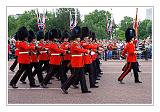 Trooping the Colour 079